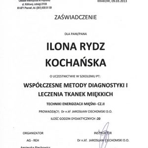 Certyfikat Ilona Rydz